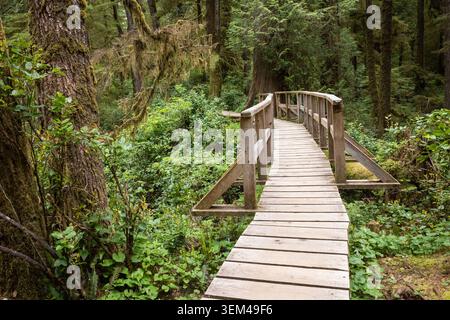 Passerelle en bois à travers le luxuriant sentier forestier Mossy OldGrowth Banque D'Images