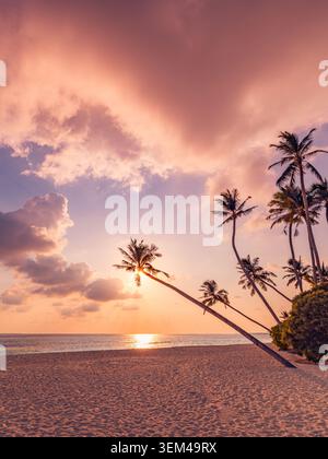 Palmiers contre des nuages violets au coucher du soleil, vue verticale, soleil se couchant sur une mer calme d'une plage tropicale, scène d'île chaude et atmosphérique en soirée. Art téléphonique Banque D'Images
