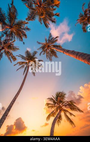 Regard vers le haut des grands palmiers contre un ciel au coucher du soleil, vue verticale, silhouettes des palmiers à cocos à la lueur dorée du crépuscule, nature insulaire tropicale vue d’en bas pittoresque Banque D'Images