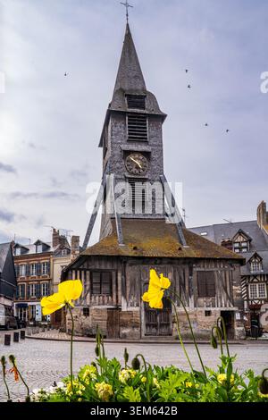 Vue en bas angle sur le clocher médiéval historique en bois de Honfleur, doté d'une horloge et d'une grande flèche en ardoise. Au premier plan, deux jaunes vibrants Banque D'Images