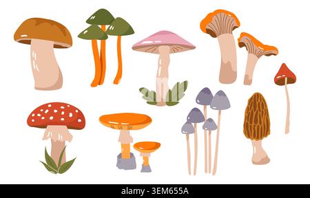 Collection d'éléments de champignons mignons de forêt de vecteur dessiné à la main Illustration de Vecteur