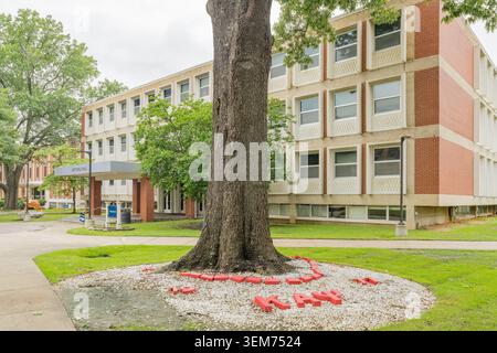 Memphis, États-Unis, le 25 MAI 2026 - Un grand arbre se dresse dans une zone herbeuse avec des lettres rouges épelant un nom sur le sol, placé contre un plusieurs étages Banque D'Images
