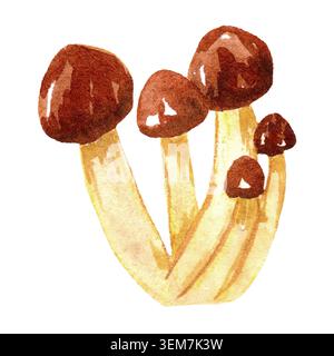 Champignons aquarelle dessinés à la main isolés sur fond blanc, élément forestier d'automne Banque D'Images