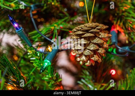 Ornement pomme de pin dorée suspendu parmi les lumières festives et les branches à feuilles persistantes sur un arbre de Noël décoré Banque D'Images