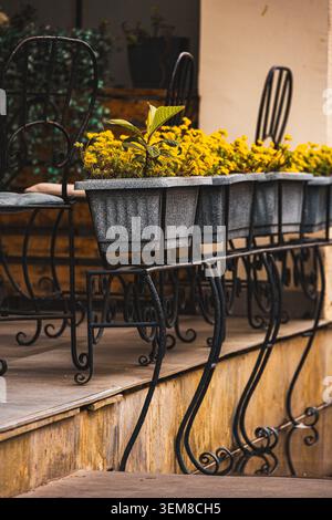 Terrasse de café extérieure élégante avec chaises décoratives en fer forgé, jardinières remplies de fleurs jaunes fleuries et atmosphère de patio confortable. Banque D'Images