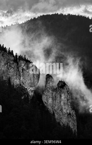 Pinacles rocheux émergeant du brouillard et de la brume dans un paysage noir et blanc spectaculaire dans le parc national de Mala Fatra, Slovaquie. Banque D'Images