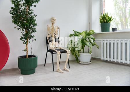 Modèle anatomique de squelette humain assis sur une chaise noire contre un mur blanc dans une pièce lumineuse avec une grande fenêtre, des plantes feuillues dans des pots colorés, et naturel Banque D'Images