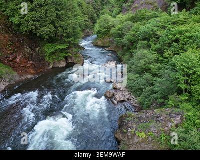 Une rivière sauvage traverse une gorge boisée. L'eau barbote blanc sur les rochers déchiquetés. Des arbres verts encadrent le ruisseau qui se précipite. Les berges moussues s'accrochent aux bords rocheux Banque D'Images