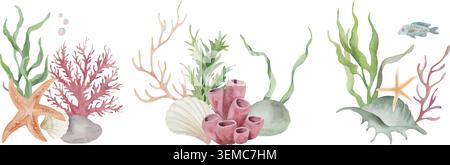 Ensemble d'éléments de vie sous-marine aquarelle, collection marine avec coraux, algues, coquillages et étoiles de mer, clipart de récif océanique pour la conception estivale Illustration de Vecteur