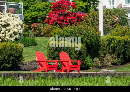 Lake Sammamish State Park, Issaquah, Washington, États-Unis. Belle cour arrière avec des rhododendrons en fleurs et deux chaises de pelouse rouges, face au lac Banque D'Images