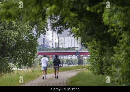 Joggers sur le Rheindeich Weg à Duisburg-Neuenkamp, courant vers le nord, vue sur le Friedrich-Ebert-Bruecke à du-Ruhrort, aciérie ThyssenKrupp, Nord Banque D'Images