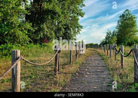 Un chemin rustique en bois avec des balustrades de corde mène à travers une réserve naturelle côtière verdoyante à l'estuaire de Tagliamento en Italie. Banque D'Images
