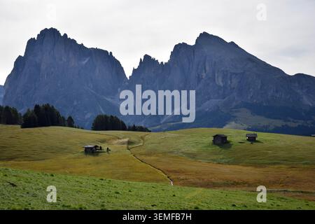 Seiser Alm, paysage de l'Alpe di Siusi, Alpes Dolomites, Italie Banque D'Images
