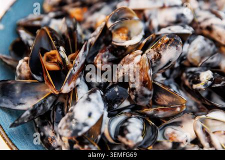 Gros plan macro de moules noires fraîches en coquille préparées avec un bouillon riche et crémeux et salé. Banque D'Images