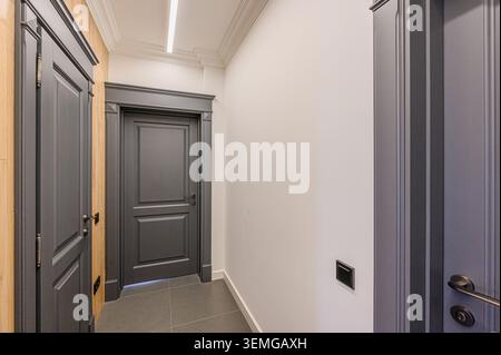 Plan intérieur avec portes grises et mur blanc. Lignes épurées et design minimaliste Banque D'Images