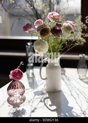 Nature morte florale lumineuse avec des fleurs colorées de ranoncule disposées dans un vase blanc près de la fenêtre Banque D'Images