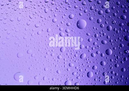 Beaucoup de gouttes d'eau brillantes créant une texture sur fond dégradé violet Banque D'Images