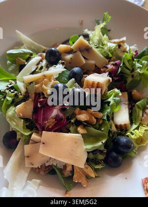 Salade estivale saine avec des ingrédients frais Banque D'Images