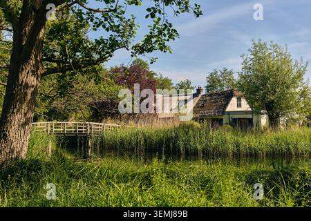 Nederhorst Den Berg, pays-Bas - 24 mai 2026 : un paysage rural néerlandais serein comprend une maison traditionnelle au toit de chaume nichée au milieu d'un verdoyant R Banque D'Images