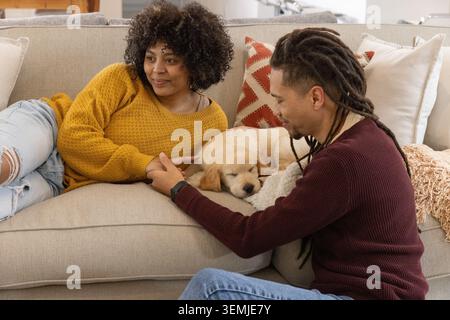 Petit chiot léger dort sur coussin entre les oreillers rouges sur le canapé dans le salon Banque D'Images