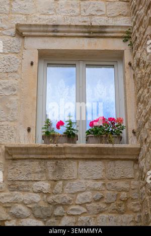 Rideaux de dentelle et géraniums dans une fenêtre à Trogir, Croatie. Banque D'Images