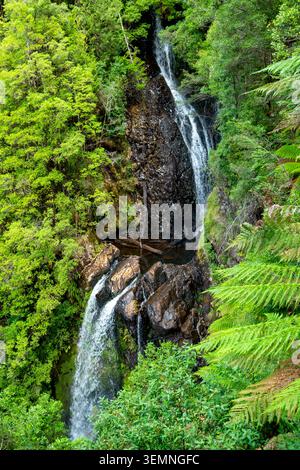 Philosopher Falls à Waratah - Tasmanie Banque D'Images
