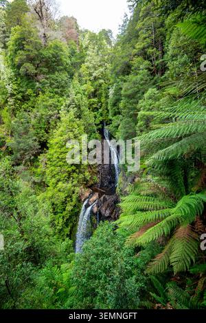 Philosopher Falls à Waratah - Tasmanie Banque D'Images