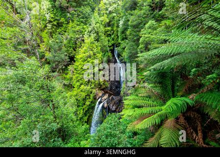Philosopher Falls à Waratah - Tasmanie Banque D'Images