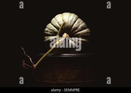 Citrouille unique sur tonneau en bois dans un éclairage discret sombre avec des ombres profondes. Nature morte d'automne minimale avec courge et texture rustique Banque D'Images