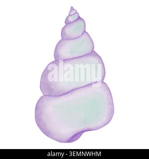Une coquille en spirale dans des tons violets doux avec un éclat vert nacré. Illustration aquarelle sur le thème des vacances d'été et de la vie marine. Banque D'Images