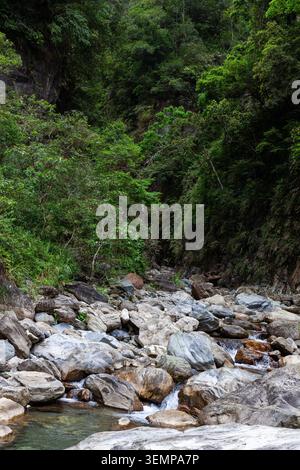 Lit de ruisseau Sanzhanxi dans Taroko gorge. Rivière rocheuse coulant à travers une forêt verdoyante. Vue panoramique sur les montagnes Hualien sur la côte est de Taiwan. Banque D'Images