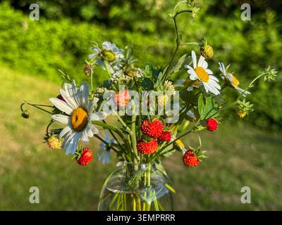 Bouquet d'été de fraises sauvages et de marguerites Banque D'Images