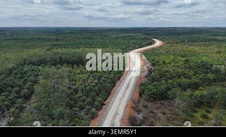 Vue aérienne d'une route sinueuse traversant une plantation d'huile de palme, projet de développement d'infrastructures dans une zone industrielle rurale d'Indonésie. Banque D'Images