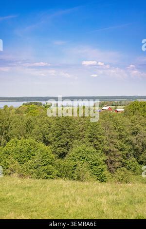 Vue à la verdure luxuriante cime des arbres dans une vue magnifique sur le paysage Banque D'Images