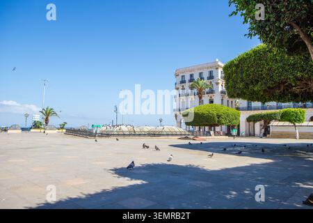 Vue sur la place des Martyrs (Sahat Echouhada) dans le centre historique d'Alger, Algérie, avec l'emblématique mosquée Djamaa El Djadid. Banque D'Images