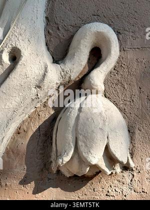 Gros plan d'un ornement en stuc floral sur la façade extérieure d'un bâtiment historique à Roma Norte, Mexico, Mexique Banque D'Images