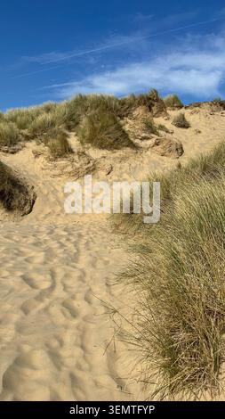 Dunes de sable et marram à Camber Sands près de Rye, East Sussex, Angleterre, par une journée ensoleillée le long de la côte anglaise. Banque D'Images