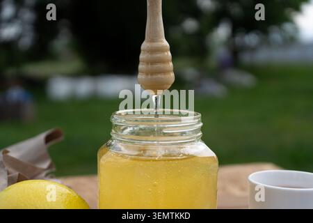 Pot en verre de miel avec un plongeur en bois, citron et tasse blanche sur une surface en bois sur un fond vert flou. Banque D'Images