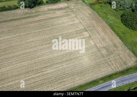 Vue aérienne de champs cultivés avec des rangées de plantation qui se croisent et des pistes d'accès à la ferme près d'Acomb York North Yorkshire montrant agricul efficace Banque D'Images
