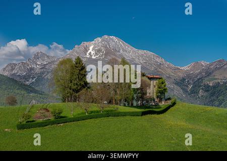 Une vue sur le paysage de montagne qui capture la tranquillité de la nature alpine. Au premier plan, une colline luxuriante de prairies verdoyantes parsemées de flocons sauvages jaunes Banque D'Images