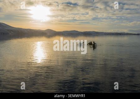 Plongeurs se préparant à plonger dans le lac Kleifarvatn sur la péninsule de Reykjanes, en Islande, avec un soleil hivernal bas et une eau calme. Banque D'Images