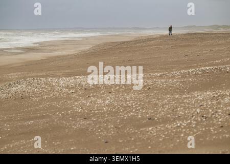 Marcheur solitaire sur une longue plage de sable avec vue sur la grande mer, temps pluvieux, plage Sortebaerdalen, Houvig, mer du Nord, Danemark Banque D'Images