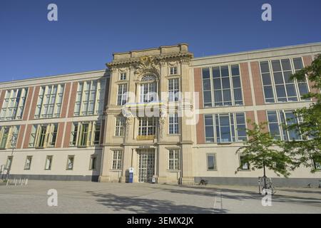ESMT, State Council Building, Schlossplatz, Mitte, Berlin, Allemagne Banque D'Images