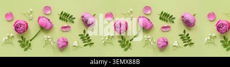 Bourgeons de pivoine roses, pétales, feuilles vertes et fleurs blanches de gypsophila sur fond vert clair pour la conception florale Banque D'Images