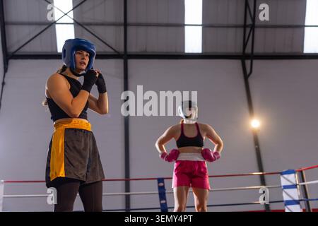 Deux boxeurs féminins ajustant le couvre-chef et debout dans un ring de boxe surélevé avec des gants, espace de copie Banque D'Images