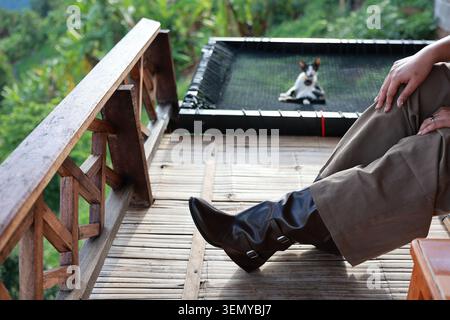 L'homme détendu portant botte noire repose sur le balcon en bambou tandis que le petit chien est assis sur le filet d'hamac surplombant la vallée de montagne verte, offrant l'outdoo paisible Banque D'Images