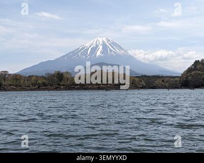 Vue emblématique du mont Fuji enneigé qui s'élève majestueusement derrière une forêt sereine au bord du lac par un clair jour de printemps Banque D'Images