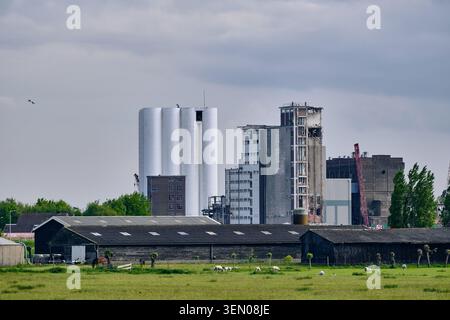 La démolition industrielle et le contraste rural sont évidents en cela, mettant en valeur de vieux bâtiments d'usine et des silos en cours de démolition à Wormer, aux pays-Bas. Banque D'Images