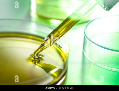 Pipette ajoutant du liquide à la boîte de Pétri, gros plan en laboratoire avec des tons verts. Banque D'Images