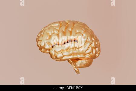 Illustration 3d dorée du cerveau humain Banque D'Images
